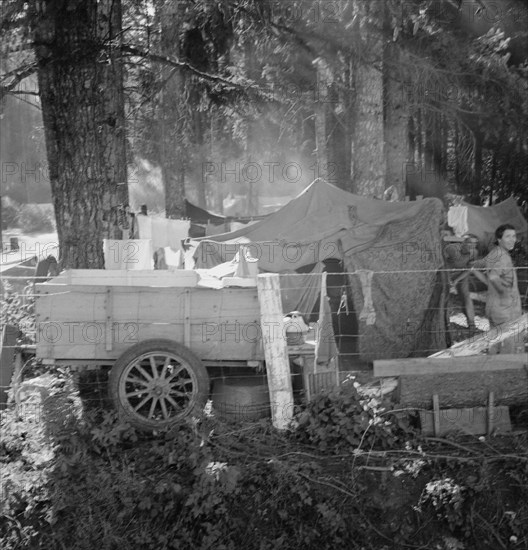 Possibly: Large private auto camp in woods..., near West Stayton, Marion County, Oregon, 1939. Creator: Dorothea Lange.