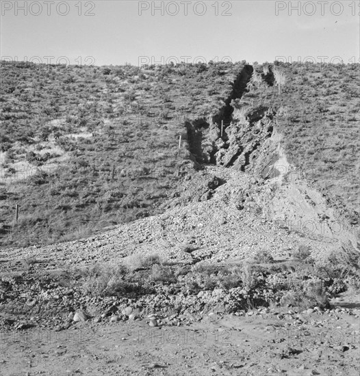 Water seepage from newly irrigated land..., Dead Ox Flat, Malheur County, Oregon, 1939. Creator: Dorothea Lange.