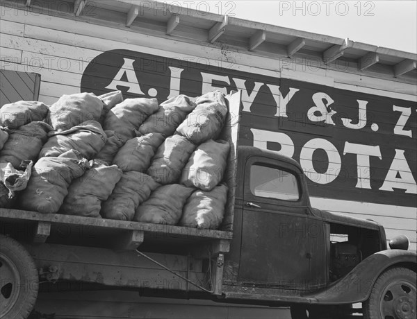 Potato shed during season, across the road..., Tulelake, Siskiyou County, California, 1939 Creator: Dorothea Lange.