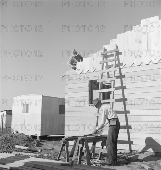 Father and son, recent migrants to California, building house, Salinas, California, 1939. Creator: Dorothea Lange.