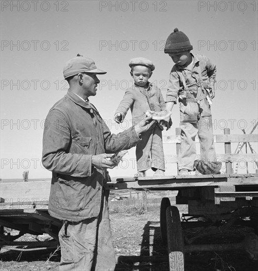 Franklin Schroeder and his older boys in the yard, Dead Ox Flat, Malheur County, Oregon, 1939. Creator: Dorothea Lange.