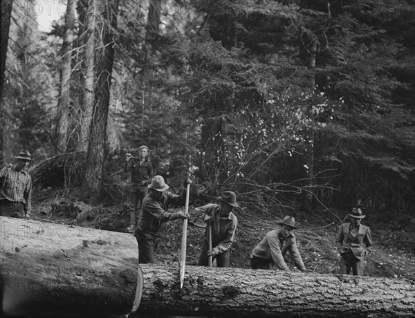 Members of Ola self-help sawmill co-op rolling white fir log..., Gem County, Idaho, 1939. Creator: Dorothea Lange.