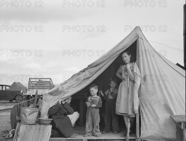 This family came to the potato harvest after the..., FSA camp, Merrill, Klamath County, Oregon, 1939 Creator: Dorothea Lange.