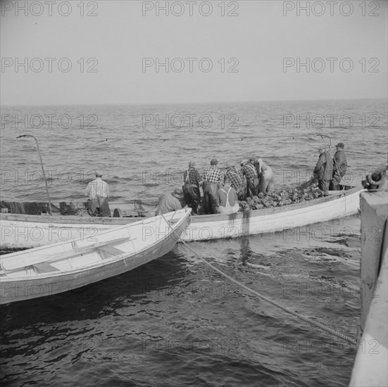 Possibly: On board the fishing boat Alden, out of Gloucester, Massachusetts, 1943. Creator: Gordon Parks.