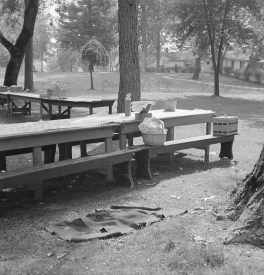 California Day, a picnic in town park on the Rogue River, Grants Pass, Oregon, 1939. Creator: Dorothea Lange.