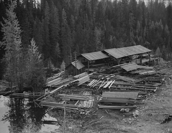 Small privately owned mill in the woods..., Mission Creek, Boundary County, Idaho, 1939. Creator: Dorothea Lange.