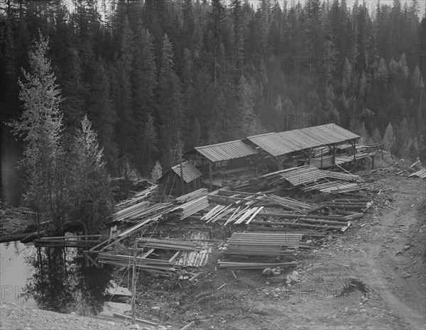 Small privately owned mill in the woods, recently discontinued, Mission Creek, Idaho, 1939 Creator: Dorothea Lange.