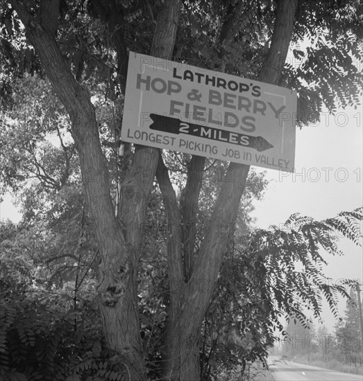 On road off main highway, leading to Roque River, near Grants Pass, Josephine County, Oregon, 1939. Creator: Dorothea Lange.