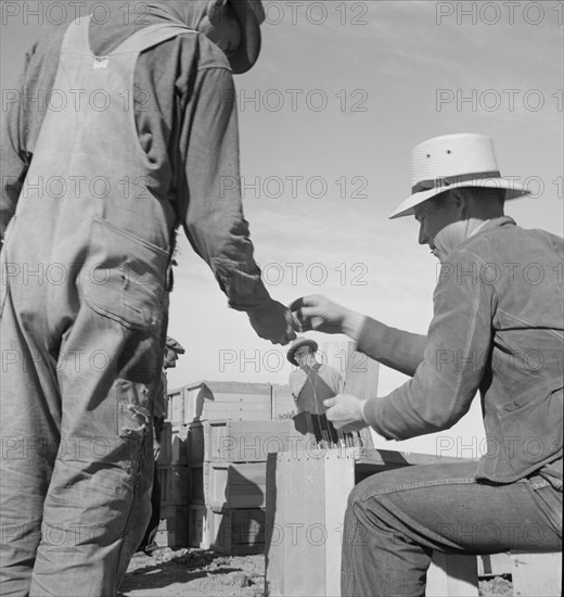 Paymaster on edge of pea fields..., near Calipatria, Imperial Valley, California, 1939. Creator: Dorothea Lange.