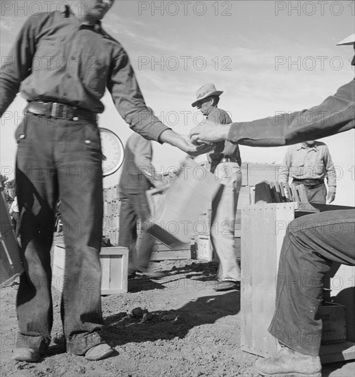 Paymaster on edge of pea fields pays a...,near Calipatria, Imperial Valley, CA, 1939. Creator: Dorothea Lange.