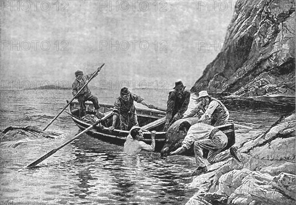 ''Pictures of the Year VIII, The Seal Diver, Co. Mayo', 1888. Creator: William Henry Bartlett.