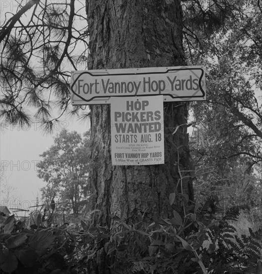 On road off main highway, leading to Roque River, near Grants Pass, Josephine County, Oregon, 1939. Creator: Dorothea Lange.