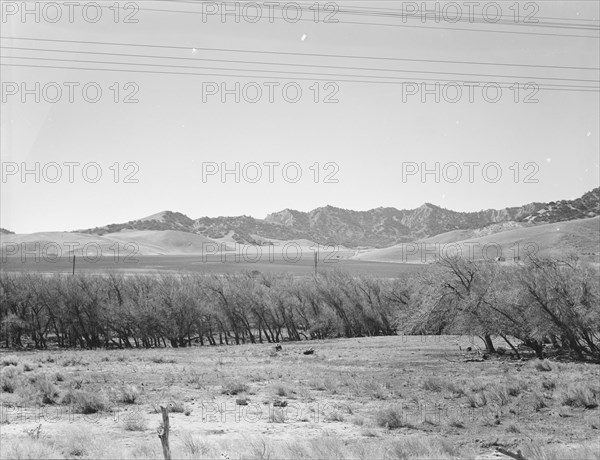 U.S. 99, on ridge over Tehachapi Mountains, 1939. Creator: Dorothea Lange.