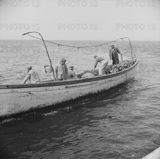 Possibly: On board the fishing boat Alden, out of Gloucester, Massachusetts, 1943. Creator: Gordon Parks.