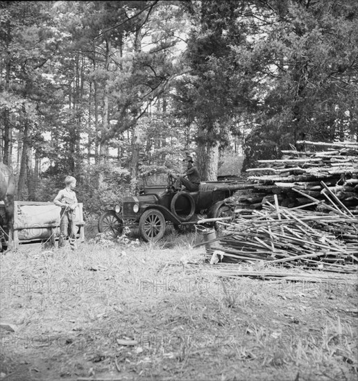 Possibly: Young son of tenant farmer gathering sticks..., Granville County, North Carolina, 1939. Creator: Dorothea Lange.