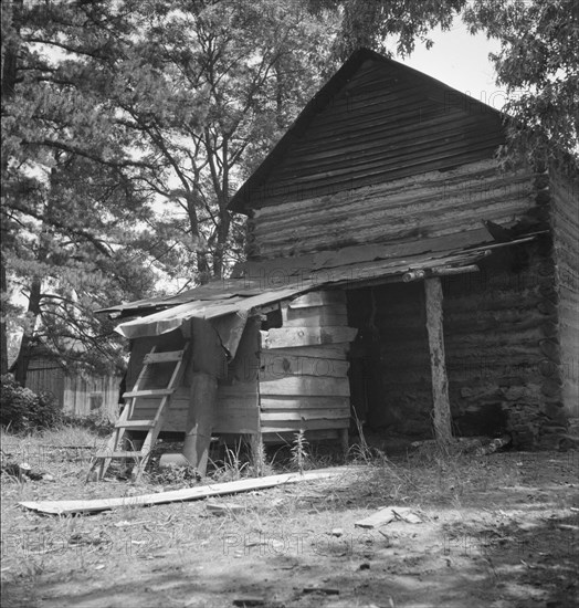 Possibly: Young son of tenant farmer gathering sticks..., Granville County, North Carolina, 1939. Creator: Dorothea Lange.