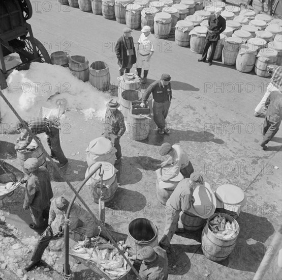 Possibly: Fulton fish market dock stevedores unloading and weighing fish in the..., New York, 1943. Creator: Gordon Parks.