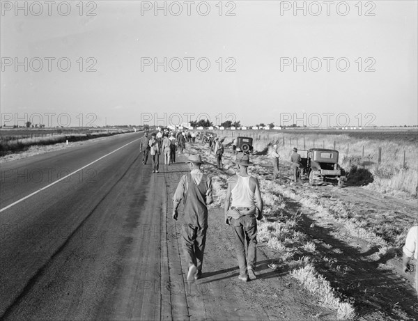 Migratory agricultural workers - cotton hoers, near Los Banos, California, 1939. Creator: Dorothea Lange.