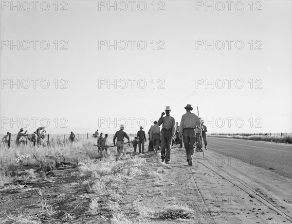 Migratory agricultural workers - cotton hoers, near Los Banos, California, 1939. Creator: Dorothea Lange.