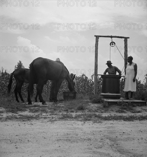 Noontime chores, Granville County, North Carolina, 1939. Creator: Dorothea Lange.