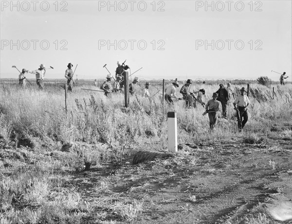 Migratory agricultural workers - cotton hoers, near Los Banos, California, 1939. Creator: Dorothea Lange.