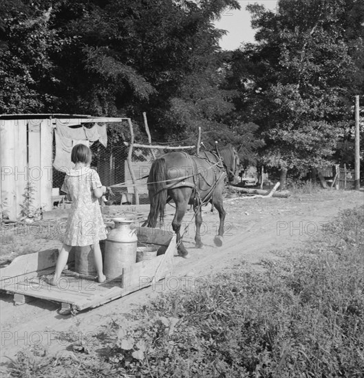 All Chris Adolf's children are hard workers on the new place, Yakima Valley, Washington, 1939. Creator: Dorothea Lange.