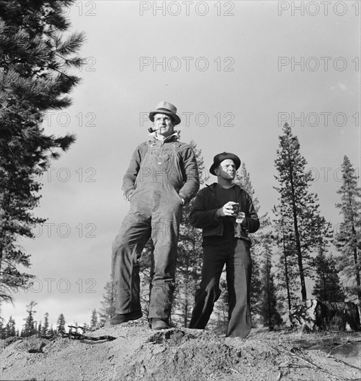 Non-farm migrants from Mississippi, came west in 1935, Gilchrist, Oregon, 1939. Creator: Dorothea Lange.