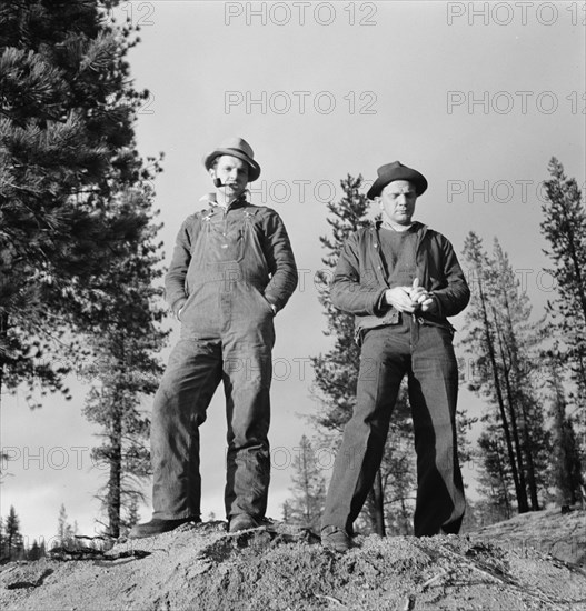 Non-farm migrants from Mississippi, came west in 1935, Gilchrist, Oregon, 1939. Creator: Dorothea Lange.