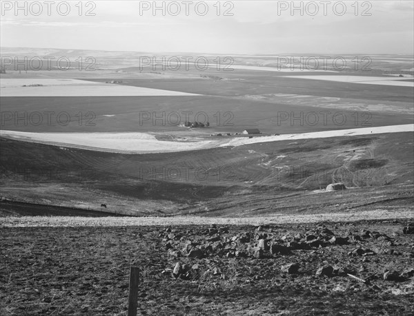 Looking down the newly plowed wheat fields of the Umatilla Valley, Oregon, 1939. Creator: Dorothea Lange.