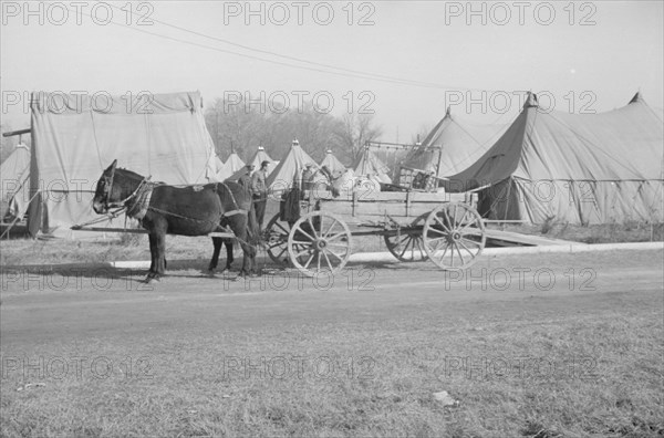 Possibly: Refugees lined up at meal time in the camp for white..., Forest City, Arkansas, 1937. Creator: Walker Evans.