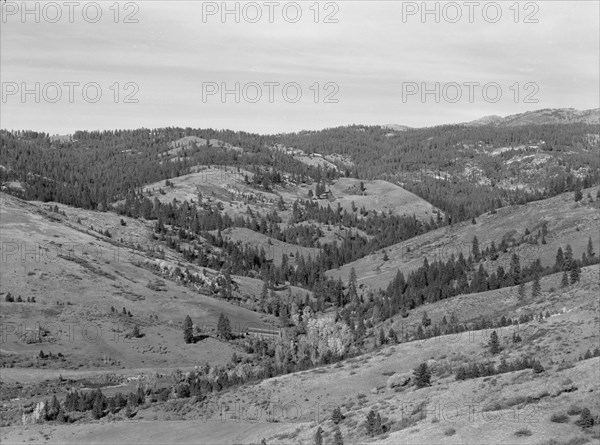 Upper end of Squaw Creek Valley..., Ola self-help sawmill co-op, Gem County, Idaho, 1939. Creator: Dorothea Lange.