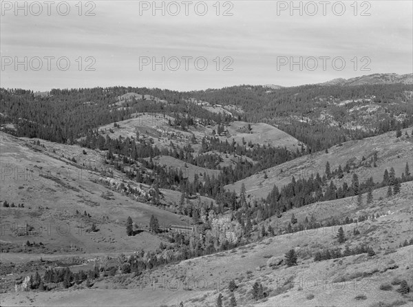 Upper end of Squaw Creek Valley..., Ola self-help sawmill co-op, Gem County, Idaho, 1939. Creator: Dorothea Lange.