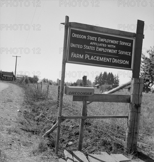 A seasonal office is maintained by the State..., near West Stayton, Marion County, Oregon, 1939. Creator: Dorothea Lange.