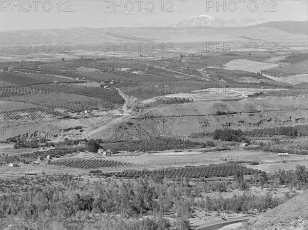 Looking down on part of the Valley, approximately six miles from Yakima, Washington, 1939. Creator: Dorothea Lange.