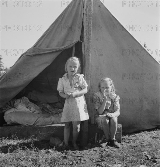 Possibly: Bean pickers' camp in grower's yard, near West Stayton, Marion County, Oregon, 1939. Creator: Dorothea Lange.