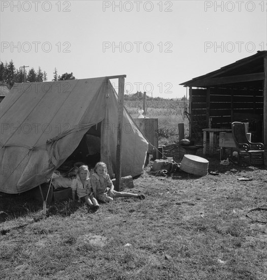 Possibly: Bean pickers' camp in grower's yard, near West Stayton, Marion County, Oregon, 1939. Creator: Dorothea Lange.