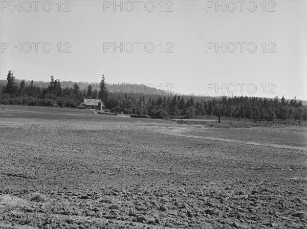 The Nieman farm showing cleared land on..., near Vader,  Lewis County, Western Washington, 1939. Creator: Dorothea Lange.