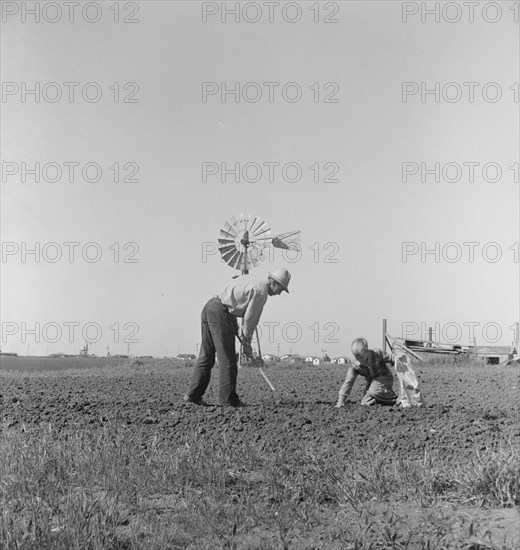 Father and son planting potatoes, outskirts of Salinas, California, 1939. Creator: Dorothea Lange.