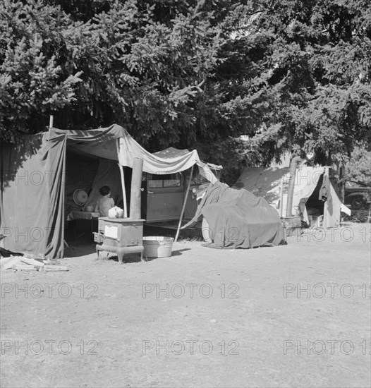 Camp representative of fourteen in group, near West Stayton, Marion County, Oregon, 1939. Creator: Dorothea Lange.