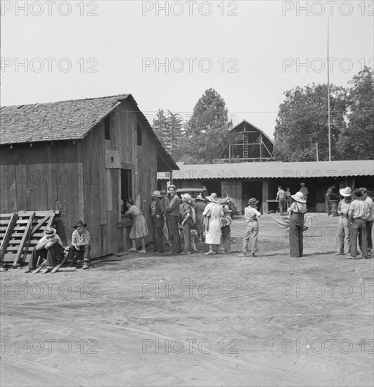 Part of the lineup at paymaster's window..., near Grants Pass, Josephine County, Oregon, 1939. Creator: Dorothea Lange.