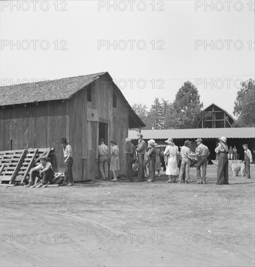 Part of the lineup at paymaster's window..., near Grants Pass, Oregon, 1939. Creator: Dorothea Lange.