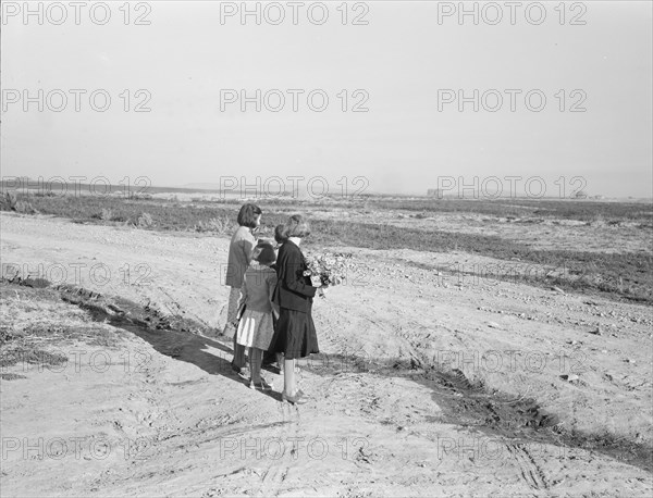 Four of the seven Browning children wait for the school bus..., Dead Ox Flat, Oregon, 1939. Creator: Dorothea Lange.