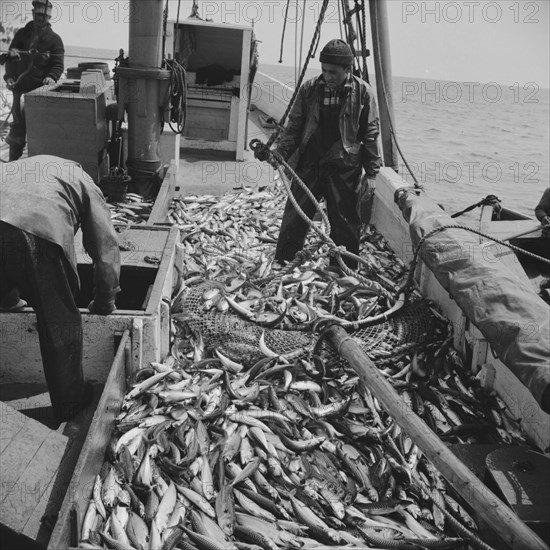 On board the fishing boat Alden, out of Gloucester, Massachusetts, 1943. Creator: Gordon Parks.