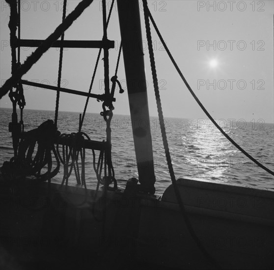 On board the fishing boat Alden, out of Gloucester, Massachusetts, 1943. Creator: Gordon Parks.