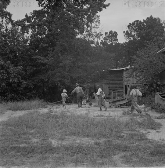 Noontime chores on Negro tenant farm, Granville County, North Carolina, 1939. Creator: Dorothea Lange.