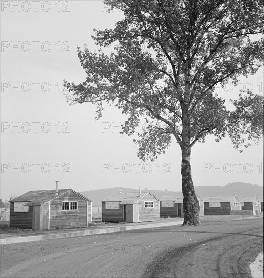 Shows new type of wooden shelter for migratory workers, near McMinnville, Oregon, 1939. Creator: Dorothea Lange.