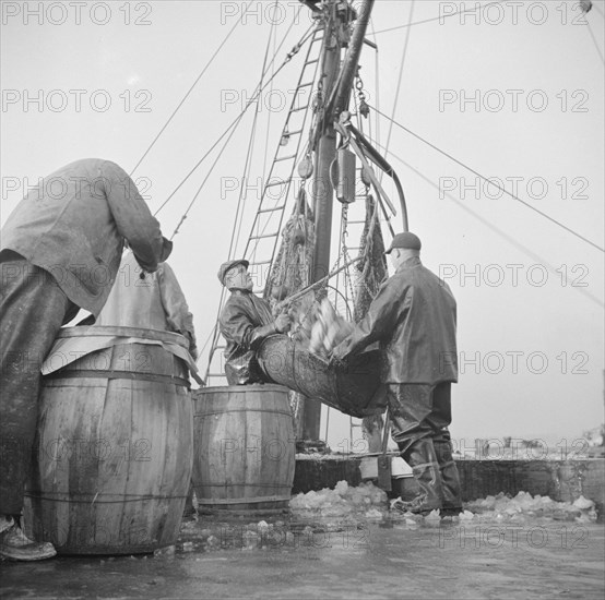 Possibly: New England fishermen unloading fish at the Fulton fish market, New York, 1943. Creator: Gordon Parks.