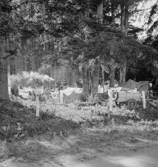 Large private auto camp in woods at end of day, near West Stayton, Marion County, Oregon, 1939. Creator: Dorothea Lange.