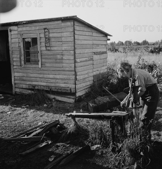 Possibly: Bean pickers' children in camp at end..., near West Stayton, Marion County, Oregon, 1939. Creator: Dorothea Lange.