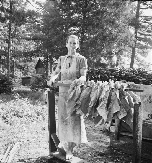 Wife of tenant farmer, Mrs. Oakley, works..., Granville County, North Carolina, 1939. Creator: Dorothea Lange.